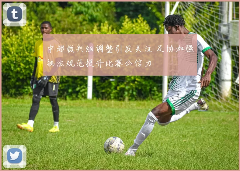 中超裁判组调整引发关注 足协加强执法规范提升比赛公信力