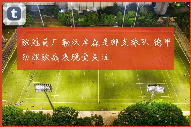 欧冠药厂勒沃库森是哪支球队 德甲劲旅欧战表现受关注