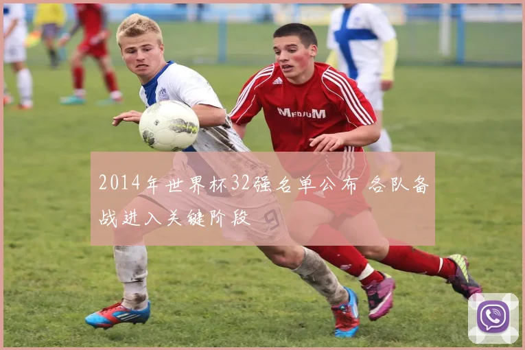 2014年世界杯32强名单公布 各队备战进入关键阶段
