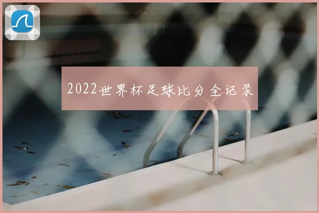 2022世界杯足球比分全记录