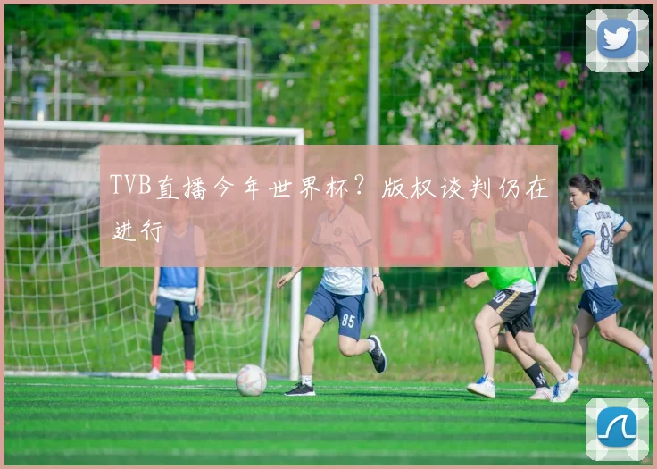 TVB直播今年世界杯？版权谈判仍在进行