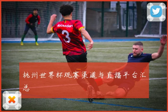 杭州世界杯观赛渠道与直播平台汇总