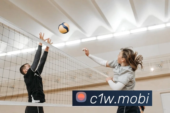 南宫pg娱乐电子游戏平台下载(中国)官方网站服务体系