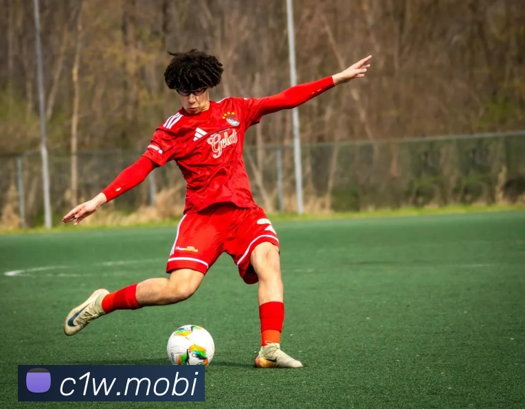 多媒体互动体验