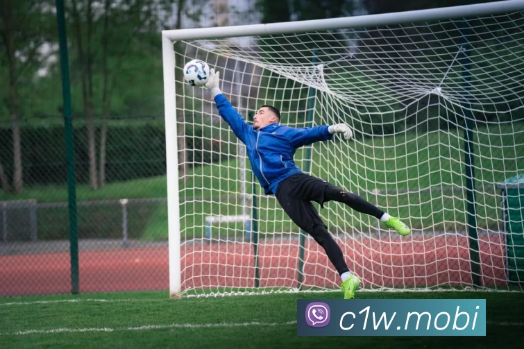 南宫pg娱乐电子游戏平台下载(中国)官方网站APP 体育赛事宣传图